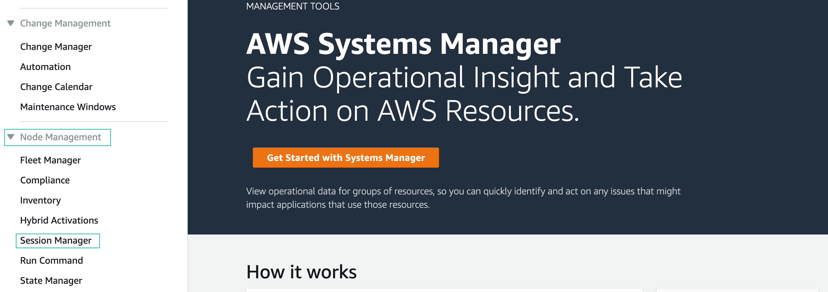 system manager